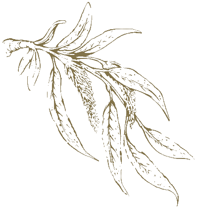  Godrej Rajendra Nagar